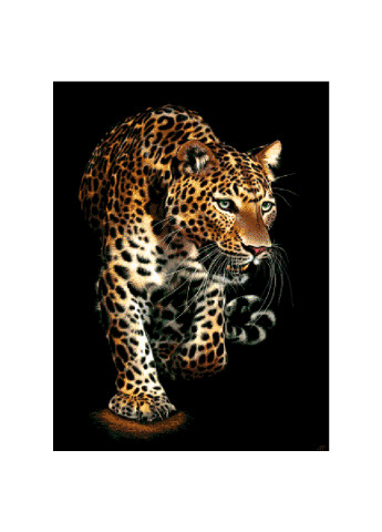 Набор для вышивания бисером Леопард 51х69 см Александра Токарева (252252929)