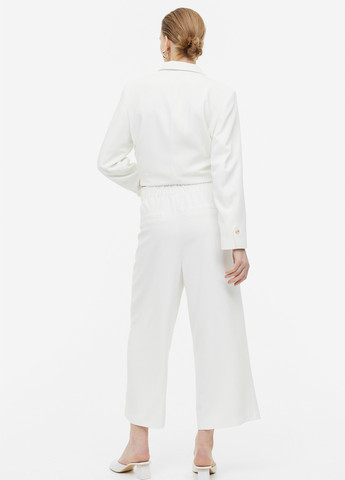 Брюки H&M (341894667)