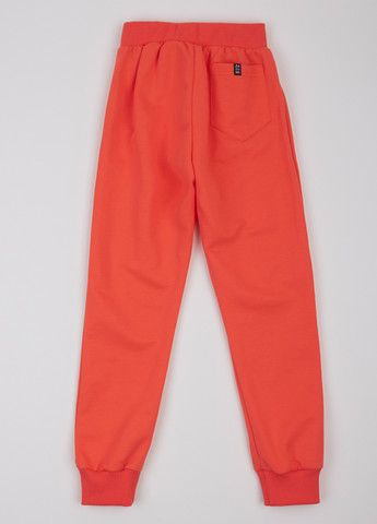 Оранжевые кэжуал, спортивные демисезонные джоггеры брюки ArDoMi