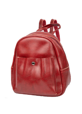 Жіночий шкіряний рюкзак 19х20х11 см Valiria Fashion (253032062)