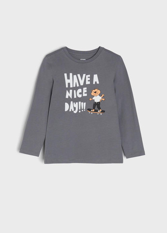 Разноцветный демисезонный кэжуал лонгслив Sinsay в полоску