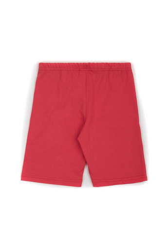 Шорты ArDoMi (328001039)