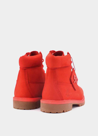 Черевики Timberland Premium 6-Inch Waterproof (327485702)