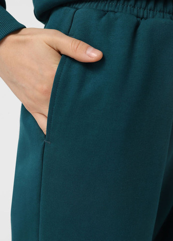 Штани Promin (323777881)