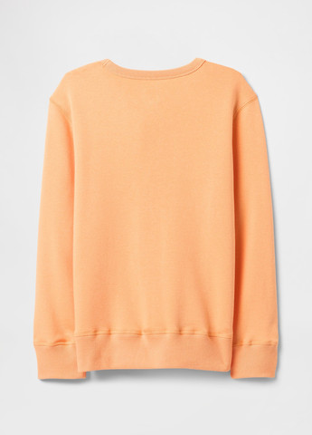 Оранжевый демисезонный костюм (свитшот, брюки) брючный Gap