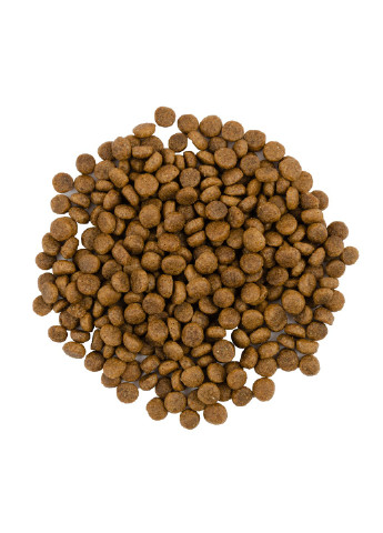 Сухий корм для котів зі свіжим м’ясом індички та качкою, 8 кг Savory (231268511)