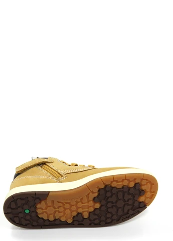 Черевики для хлопчиків Timberland (241231653)