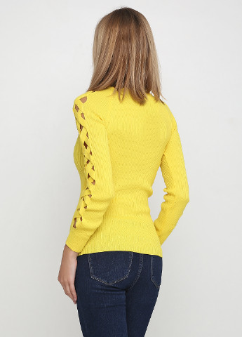 Жовтий демісезонний пуловер пуловер Griffon