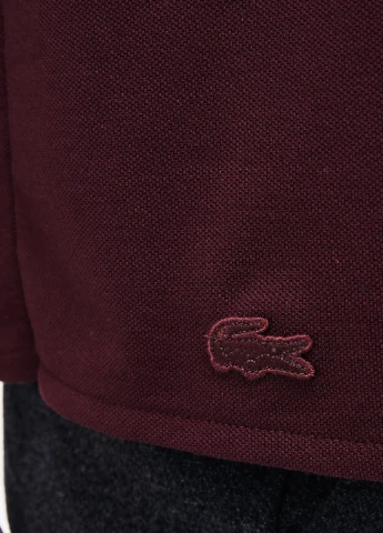 Поло Lacoste (250224864)