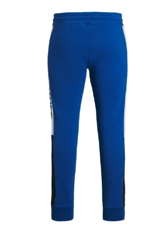 Спортивні штани JACK&JONES (252841116)