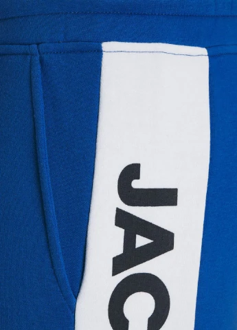 Спортивні штани JACK&JONES (252841116)
