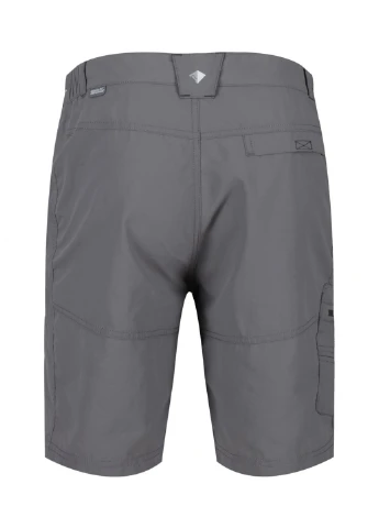 Шорты Regatta Leesville Shrt II (299927144)