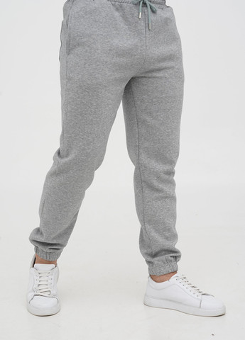 Светло-серые спортивные зимние джоггеры брюки Trend Collection