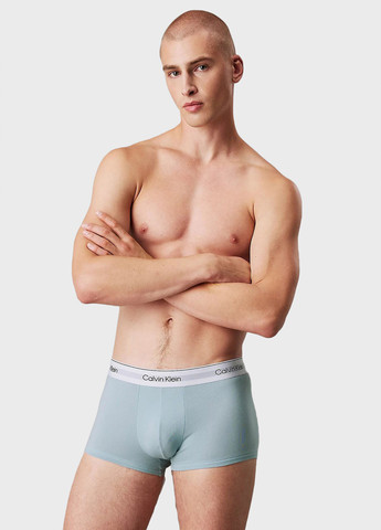 Трусы (3 шт.) Calvin Klein (366292628)