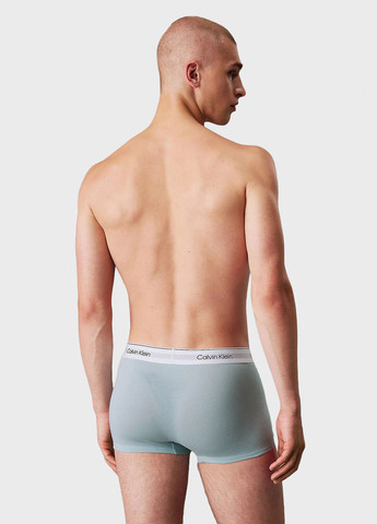 Трусы (3 шт.) Calvin Klein (366292628)