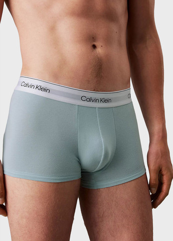 Трусы (3 шт.) Calvin Klein (366292628)