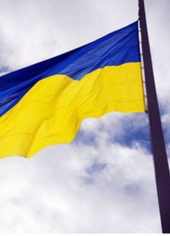 Флаг Украины No Brand (254800663)