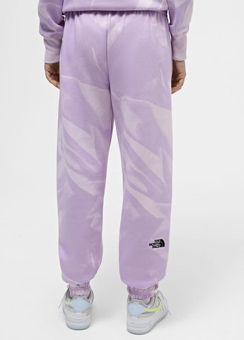 Штани The North Face (330382854)