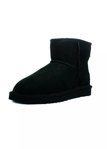 Угги UGG (253694011)