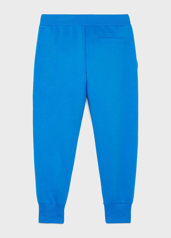 Голубые спортивные демисезонные джоггеры брюки Tommy Hilfiger