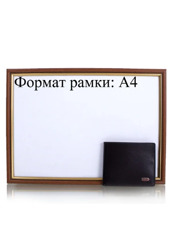 Мужской кожаный кошелек 10,5х8,5х1,2 см Desisan (255710048)