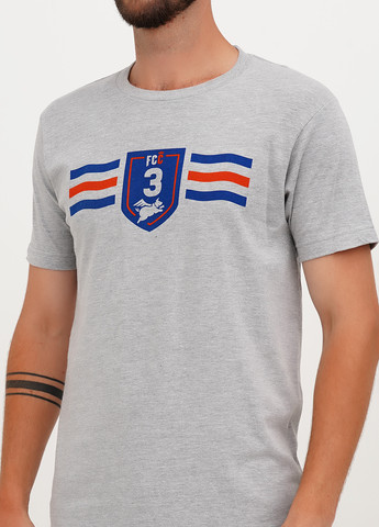 Серая футболка Tultex