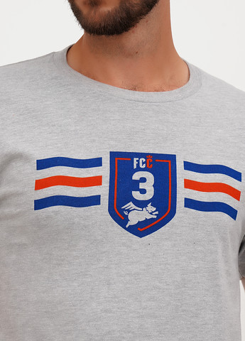 Серая футболка Tultex