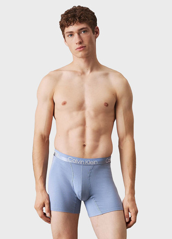 Труси (3 шт.) Calvin Klein (366292630)