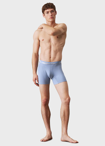 Труси (3 шт.) Calvin Klein (366292630)