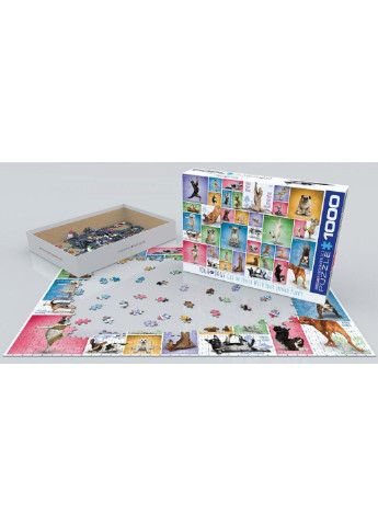 Пазл Йога. Собаки 1000 елементів (6000-0954) Eurographics (252419016)