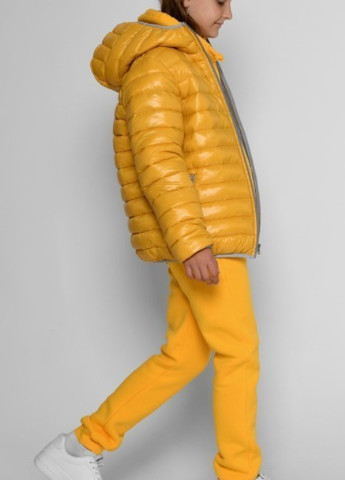 Желтая демисезонная куртка демисезонная X-Woyz DT-8340-6