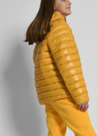 Желтая демисезонная куртка демисезонная X-Woyz DT-8340-6