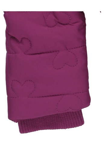 Бордова демісезонна куртка Chicco