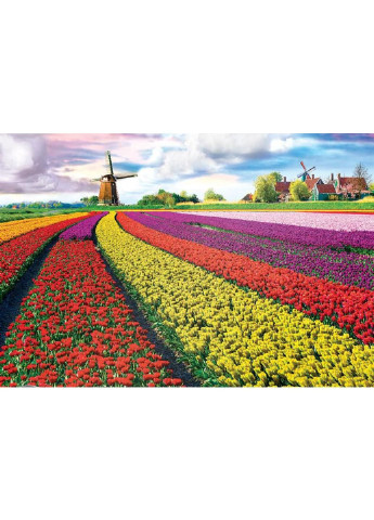 Пазл Поле тюльпанов в Нидерландах 1000 элементов (6000-5326) Eurographics (249984373)