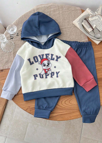 Костюм (худи, брюки) SHEIN (344466317)