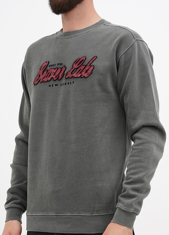 Сіро-зелений світшот Blue 84 однотонний вишивка, нашивки (311528519)