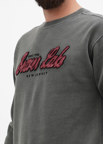 Сіро-зелений світшот Blue 84 однотонний вишивка, нашивки (311528519)