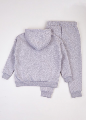 Спортивний костюм (худі, штани) Фламинго (314603322)