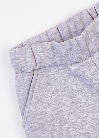 Спортивний костюм (худі, штани) Фламинго (314603322)