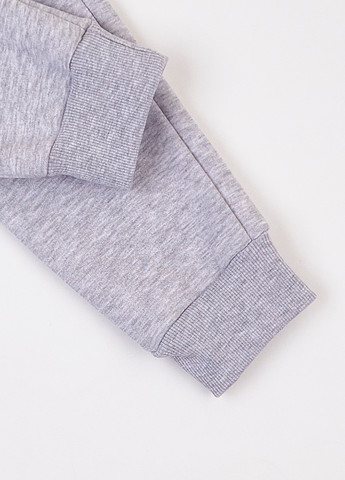 Спортивний костюм (худі, штани) Фламинго (314603322)