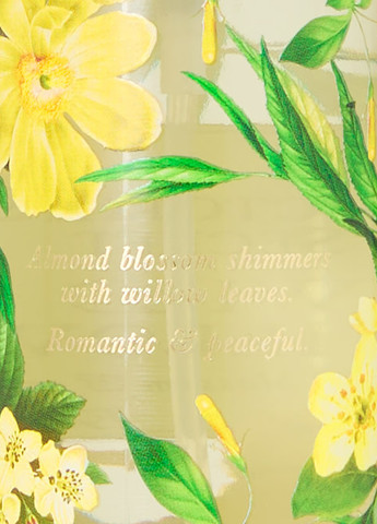 Набір Wild Willow (лосьон, міст) Victoria's Secret (324218429)