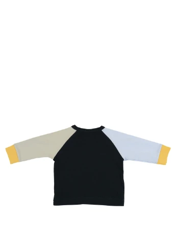 Реглан Petit Bateau (196493906)
