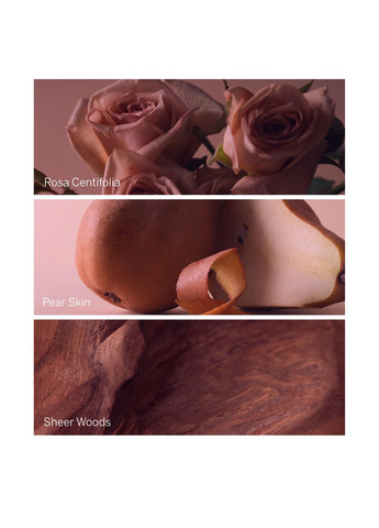 Парфумована вода Bare Rose Travel Spray, 7 мл Victoria's Secret (343051788)