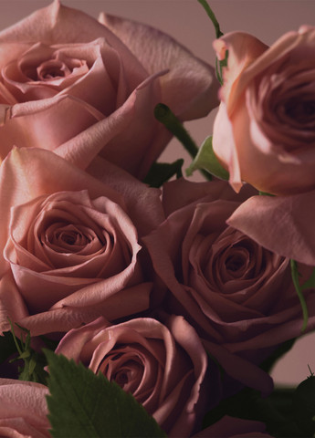 Парфумована вода Bare Rose Travel Spray, 7 мл Victoria's Secret (343051788)