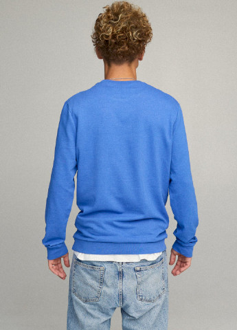 Блакитний світшот чоловічий basic /no flis/ YAPPI (252386472)