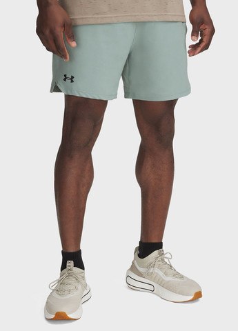 Шорти Under Armour (328001277)
