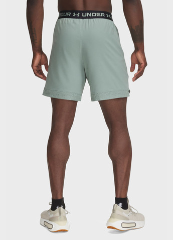 Шорти Under Armour (328001277)