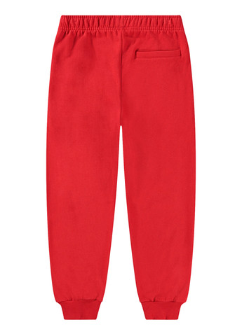 Красные спортивные демисезонные брюки джоггеры Molo