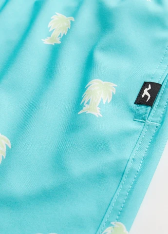Шорты Hollister (255312835)