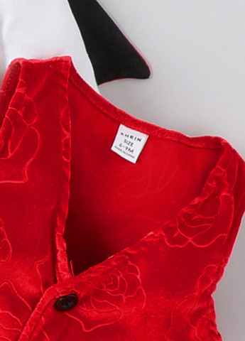 Маскарадний костюм (сорочка, жилет, штани, метелик, накидка) SHEIN (329546147)